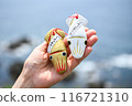 Hakodate Yukura Shrine Squid Fortune Telling 116721310