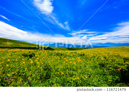 從車山肩的花園眺望 從車山肩的花園眺望 116721479