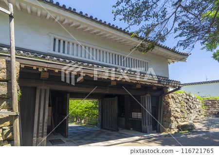綠樹環繞的岸和田城大手屋門 116721765