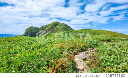 Climbing Mount Amakasari in summer (from Sasadaira to the summit) 116722162