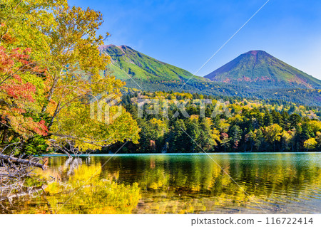 Hokkaido Onneto dyed in autumn leaves - Mt. Meakan and Mt. Akan Fuji reflected on the lake surface - 116722414