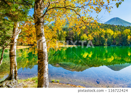 Hokkaido Onneto dyed in autumn leaves - Mt. Meakan and Mt. Akan Fuji reflected on the lake surface - Hokkaido Onneto dyed in autumn leaves - Mt. Meakan and Mt. Akan Fuji reflected on the lake surface - 116722424