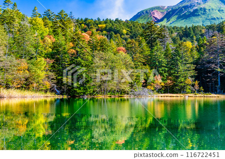 北海道翁內托，紅葉染紅 116722451