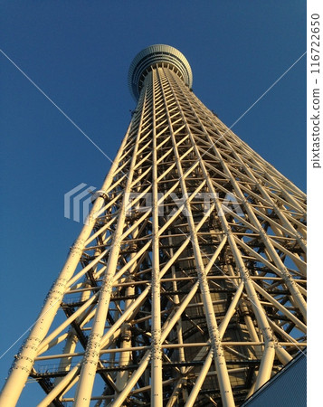 下雪天的路 116722650