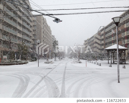 下雪的行人 116722653