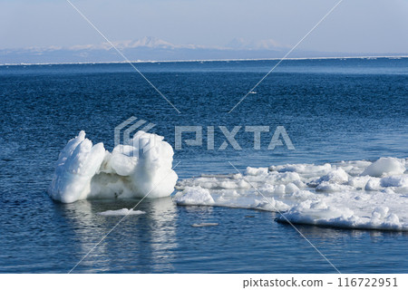 Drift ice on the Notsuke Peninsula 116722951