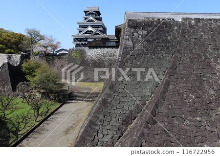 Kumamoto Castle: Two types of stone walls and the main citadel Kumamoto Castle: Two types of stone walls and the main citadel 116722956