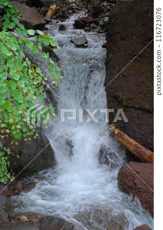 A small waterfall in a stream in the Yatsugatake mountains that is cool even in summer A small waterfall in a stream in the Yatsugatake mountains that is cool even in summer 116723076