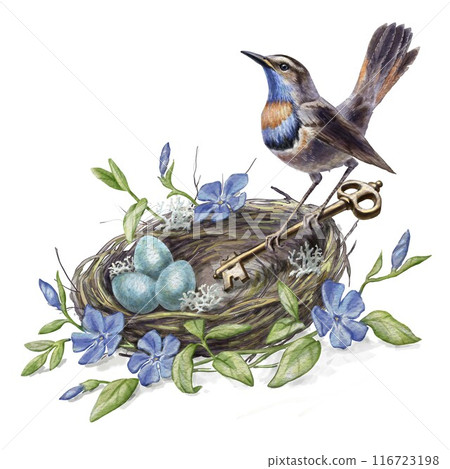 Nightingale's nest with a key, blue eggs, and flowers. Can be used for illustrations in children's books, educational materials, symbol of home and family in advertising, packaging, or greeting cards. 116723198