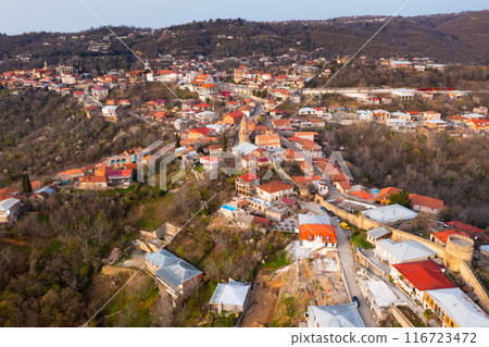 Aerial view on Signagi and Alazani valley, Georgia. Sighnaghi of love in Georgia Aerial view on Signagi and Alazani valley, Georgia. Sighnaghi of love in Georgia 116723472
