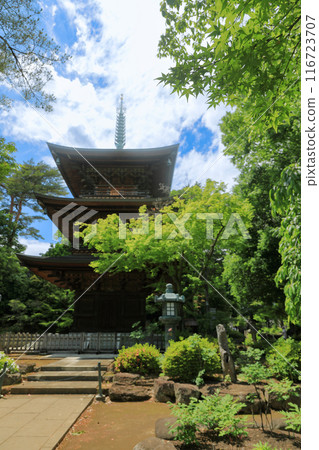 東京都世田谷區豪德寺三層塔 東京都世田谷區豪德寺三層塔 116723707
