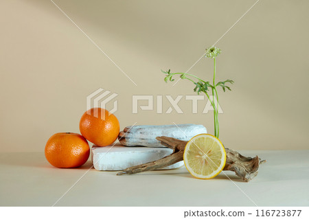 Citrus fruit extract products advertising pic, was shot from front. An empty podium pedestal displayed in the center, on both sides decorated with lemon, orange and plants Citrus fruit extract products advertising pic, was shot from front. An empty podium pedestal displayed in the center, on both sides decorated with lemon, orange and plants 116723877