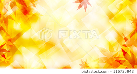 Autumn leaves autumn background 116723948