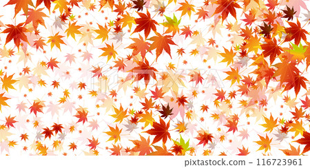 秋葉秋天背景 秋葉秋天背景 116723961