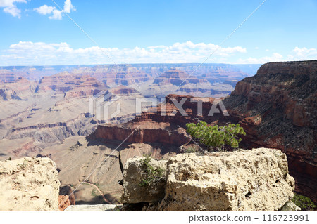 Grand Canyon National Park: The majestic American landscape 116723991