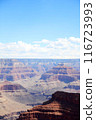 Grand Canyon National Park: The majestic American landscape 116723993