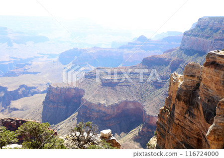 美國壯麗的風景！大峽谷國家公園 大峽谷 116724000