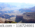 Grand Canyon National Park: The majestic American landscape 116724001