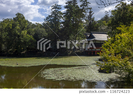Oita Usa Shrine Oita Usa Shrine 116724223