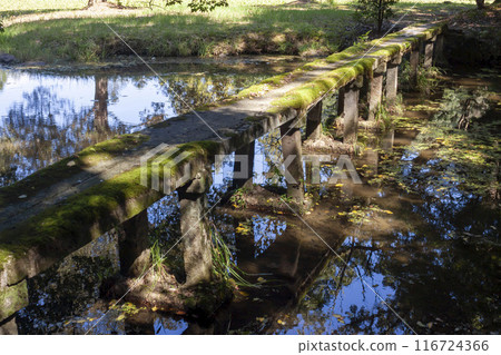 Oita Usa Shrine Oita Usa Shrine 116724366
