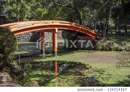 Oita Usa Shrine Oita Usa Shrine 116724367