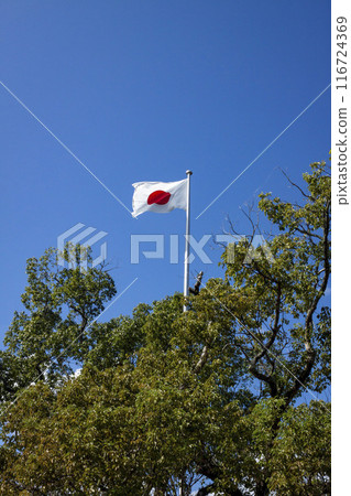 Oita Usa Shrine 116724369