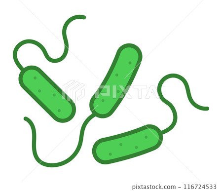 Pseudomonas aeruginosa 116724533