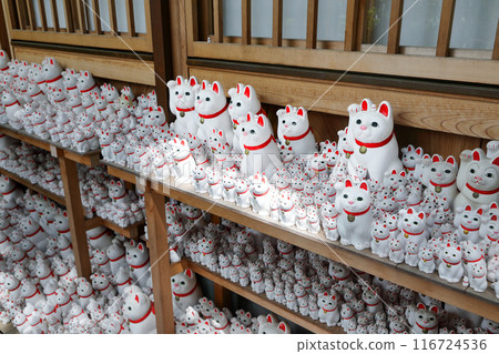 東京都世田谷區豪德寺的招財貓 東京都世田谷區豪德寺的招財貓 116724536