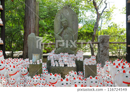 東京都世田谷區豪德寺的招財貓 116724549
