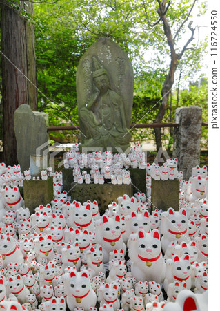Gotokuji Temple's Maneki Neko (beckoning cat) in Setagaya, Tokyo Gotokuji Temple's Maneki Neko (beckoning cat) in Setagaya, Tokyo 116724550