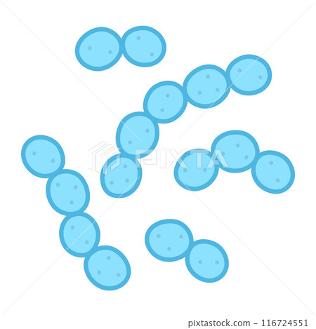 乳酸球菌 116724551