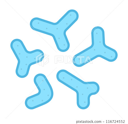 雙歧桿菌 雙歧桿菌 116724552