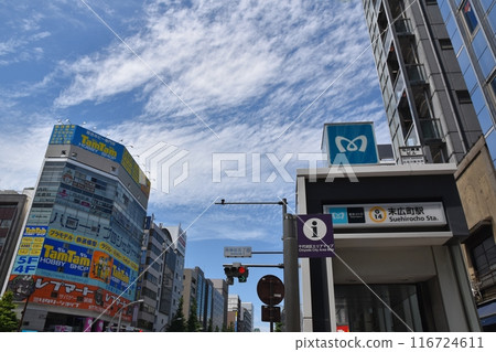 Suehirocho Station on a sunny day, Tokyo 116724611