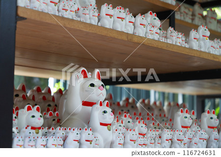 東京都世田谷區豪德寺的招財貓 116724631