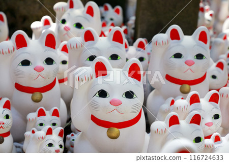 Gotokuji Temple's Maneki Neko (beckoning cat) in Setagaya, Tokyo Gotokuji Temple's Maneki Neko (beckoning cat) in Setagaya, Tokyo 116724633