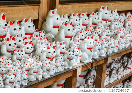 Gotokuji Temple's Maneki Neko (beckoning cat) in Setagaya, Tokyo 116724637