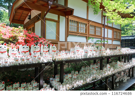 Gotokuji Temple's Maneki Neko (beckoning cat) in Setagaya, Tokyo 116724686