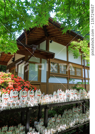 Gotokuji Temple's Maneki Neko (beckoning cat) in Setagaya, Tokyo Gotokuji Temple's Maneki Neko (beckoning cat) in Setagaya, Tokyo 116724687