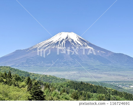 Mount Fuji in spring with lingering snow 116724691