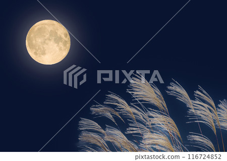 Autumn full moon night and silver grass ears | Full moon image 116724852