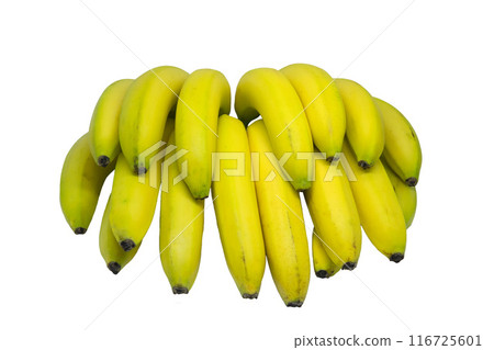 [Health Food] Graphic material of a bunch of bananas on a white background 116725601