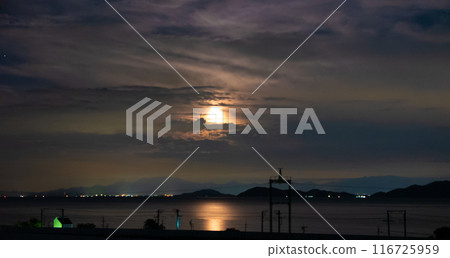 Moon floating on the lake 116725959