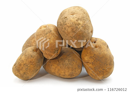 Potato (Hikaru) Potato (Hikaru) 116726012