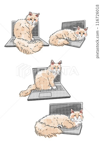 Illustration of a Siberian getting in the way on a computer (watercolor touch style) Illustration of a Siberian getting in the way on a computer (watercolor touch style) 116726018