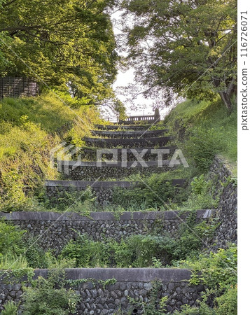 狹山公園 狹山公園 116726071