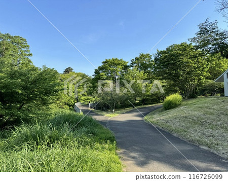 Sayama park Sayama park 116726099