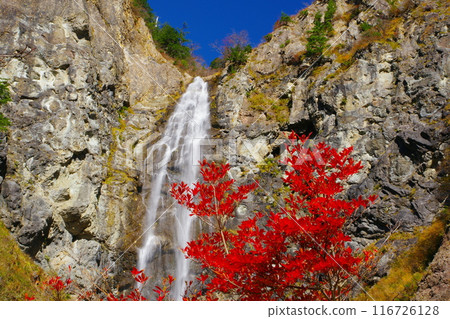 Fukube Falls, cascading down a cliff with red autumn leaves in the foreground. Ver. 6 Fukube Falls, cascading down a cliff with red autumn leaves in the foreground. Ver. 6 116726128