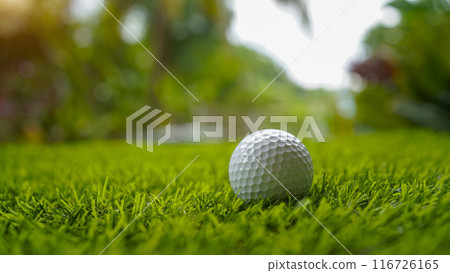 Golf balls on a green lawn in a beautiful golf course with morning sunshine. 116726165