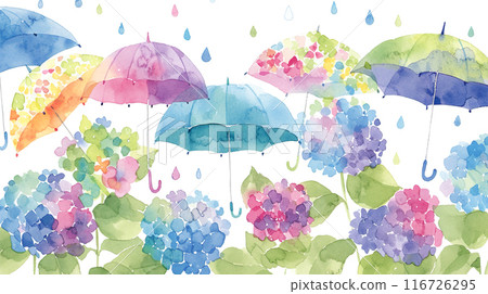 Cute and colorful umbrella and hydrangea watercolor illustration Cute and colorful umbrella and hydrangea watercolor illustration 116726295