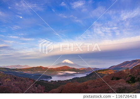 (Kanagawa Prefecture) Full moon and Mt. Fuji seen from Mount Daikanzan in Hakone at dawn (Kanagawa Prefecture) Full moon and Mt. Fuji seen from Mount Daikanzan in Hakone at dawn 116726428